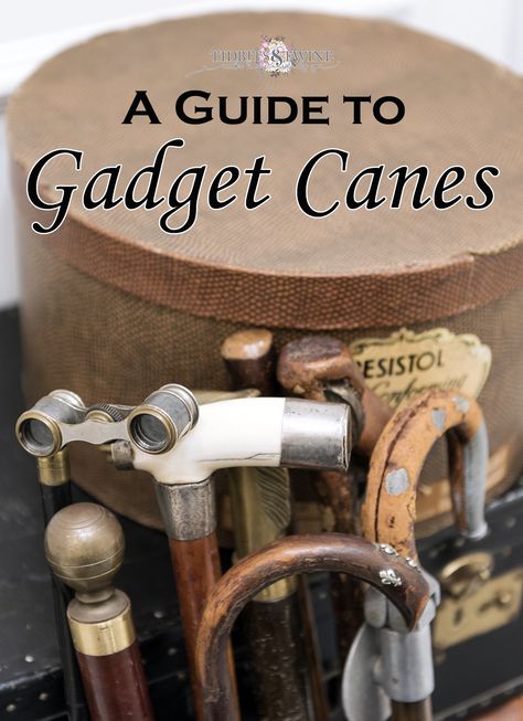 Gadget canes and interesting and fun to collect! Learn about this interesting antique and take a quick tour of my personal cane collection! Cool Walking Canes, Cane Tips, Morning Wood, Folding Seat, Surprises For Husband, Walking Canes, Decorating Tips, Cool Gadgets, Antique Collection