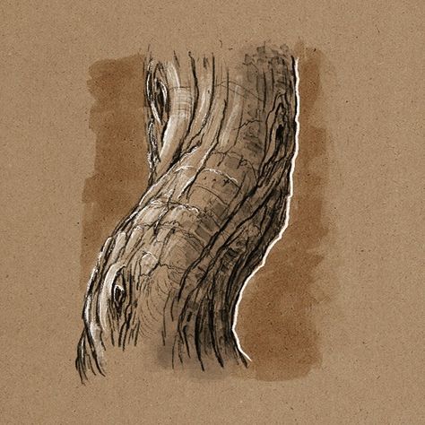 Tree Trunk Reference, Tree Bark Sketch, Tree Bark Illustration, How To Draw Tree Trunk, How To Draw Tree Bark, Tree Trunk Sketch, Tree Texture Drawing, Tree Bark Drawing, Tree Bark Painting