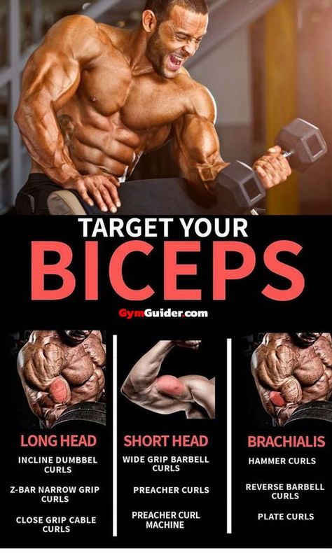 Fitness Studio Training, Bicep Workout, Bodybuilding Program, Big Biceps, Weight Training Workouts, Workout Chart, Biceps Workout, Bodybuilding Training, Gym Workout Tips