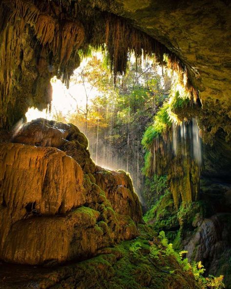 Take a Hike to This Stunning 40-Foot Waterfall & Cave Near Austin, TX | UrbanMatter Austin Waterfall Cave, Natural Cave, Underground Cities, Cave Paintings, Take A Hike, Vacation Places, Book Ideas, Beautiful Places To Visit, Fantasy Landscape