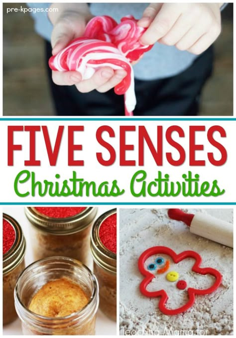 Five Senses Activities, Activities For Christmas, Kindergarten Christmas Activities, Five Senses Preschool, Classroom Christmas Activities, The 5 Senses, Gingerbread Activities, Pre K Pages, Christmas Units