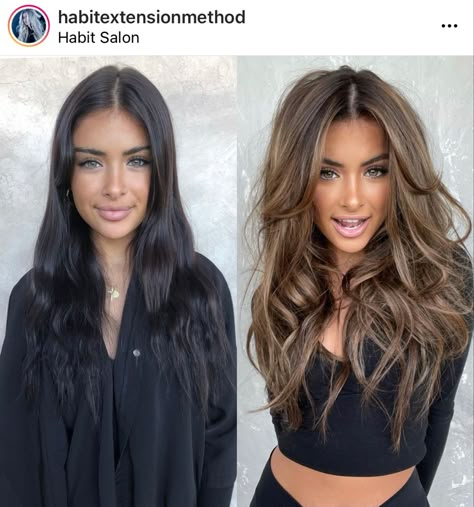 Black Hair To Blonde Before And After, Hair For Blue Eyes And Fair Skin, Hair Growth Before And After, Black Hair To Brown Before And After, Dark Roots Light Ends Brunettes, Black Hair To Brown, Long Chocolate Brown Hair, Black To Brown Hair, Dark To Light Hair