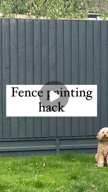 Sophie on Instagram: "I doubt very much anyone will be painting fences now the weather has turned, but save this hack for next year and thank me later 😝 Not only is using a sponge super quick & easy, it’s cheap too!! • • • • • #diyhack #hacks #diygarden #diyfence #gardeninspo #gardenmakeover #gardens #lovetohome #lovemyhome #homeaccount #homeaccountuk #homedecor #homedecorating #diy" Paint Fence, Painting Hacks, Sponge Painting, Diy Fence, Fence Paint, Garden Makeover, Thank Me Later, Hacks Diy, Painting Tips