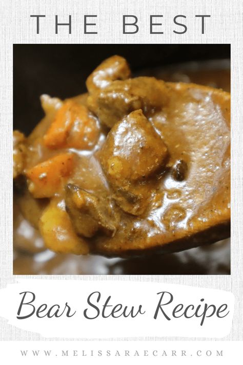 the best bear stew recipe close up Bear Stew, Bear Meat Recipe, Best Stew, Bear Meat, Instant Pot Stew, Meat Stew, Low Carb Crock Pot Recipes, Game Meat, Bear Recipes