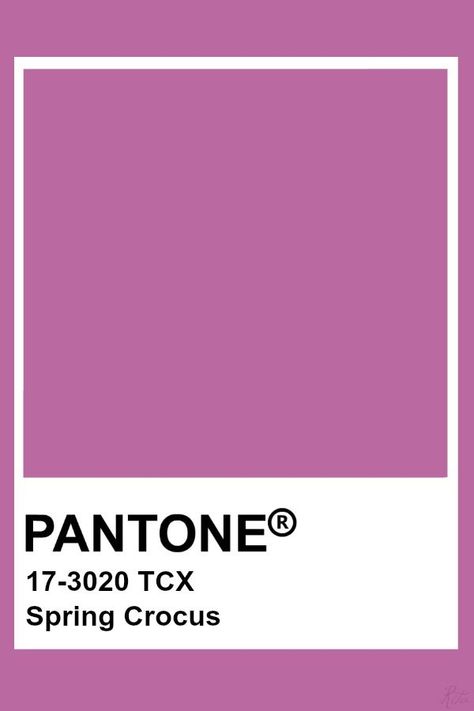 Spring Crocus Pantone, Purple Pantone, Spring Pantone, Pantone Tcx, Purple Crocus, Spring Crocus, Pantone Colours, Pantone Color Chart, Pantone Swatches