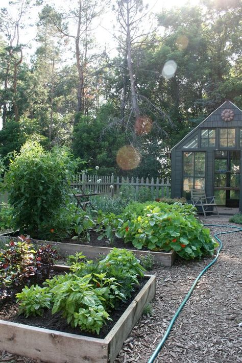 Shed Inspiration, Vegetable Garden For Beginners, Colorful Clothes, Potager Garden, Veg Garden, Have Inspiration, Garden Decorations, Veggie Garden, Garden Cottage