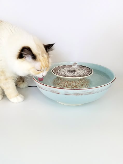 Diy Cat Fountain, Diy Cat Water Fountain, Cat Drinking Fountain, Bowls Ideas, Cat Water Bowl, Cat Fountain, Cat Water Fountain, Cat Food Bowl, Pet Water Fountain