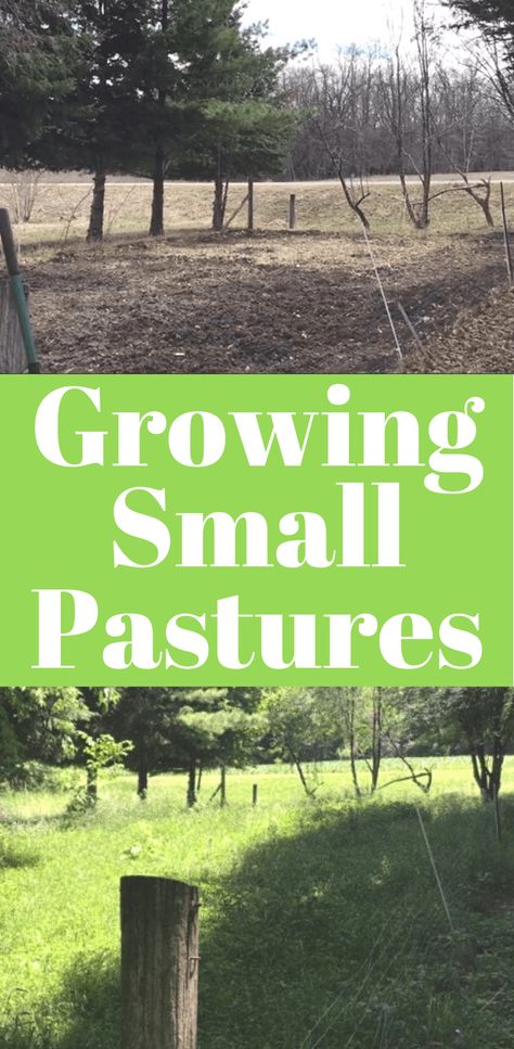 Small Cow Pasture Ideas, Small Scale Permaculture, 50 Acre Farm Layout, Small Acreage Farm, Farm Hacks Horse, Farm Hacks Cattle, Small Acreage Horse Farm, Small Farm Layout, Cow Farm Ideas