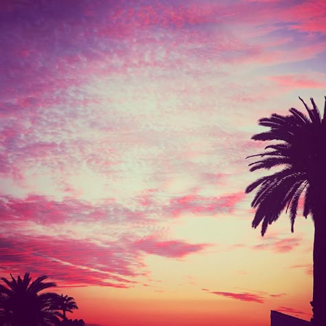 square photo of a sunset, with palm trees on both sides, edited using 2014-style filters 2014 Aesthetic Summer, 2014 Beach Aesthetic, 2014 Summer Vibes, 2015 Wallpaper Aesthetic, 2014 Summer Tumblr Aesthetic, Summer 2014 Aesthetic, Summer 2016 Aesthetic, 2016 Summer Aesthetic, 2016 Aesthetic Tumblr