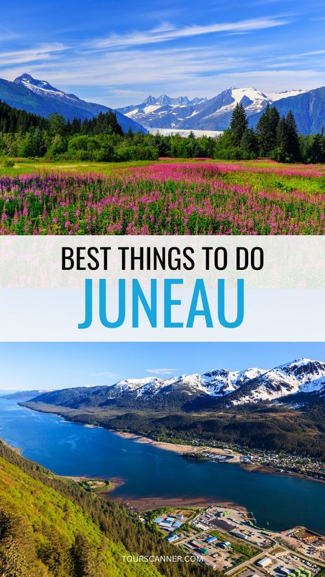 Juneau Alaska, Helicopter Tour, Blog Article, Whale Watching, Fun Things, Helicopter, United States Of America, Trekking, Alaska