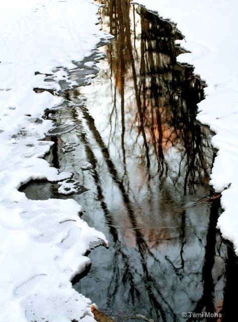 Melting Snow Aesthetic, First Signs Of Spring, Melting Snow, Spring Snow, End Of Winter, The Reflection, 수채화 그림, Water Art, Winter Scenery