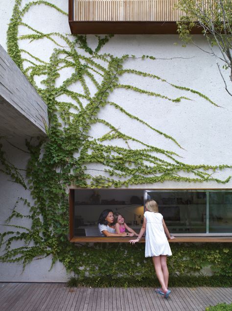 From the garden deck, Sophia Cóser talks to sister Helena and mother Piti through a wide, low-slung window typical of architect Marcio Kogan. Photo by: Crisobal Palma | Read more: http://www.dwell.com/articles/Sao-Paulo-Brazil-dwelling.html 80s Apartment, Studio Mk27, Dwell Magazine, Indoor Outdoor Kitchen, Olafur Eliasson, Plants Growing, Deck Garden, Climbing Plants, Bathroom Art