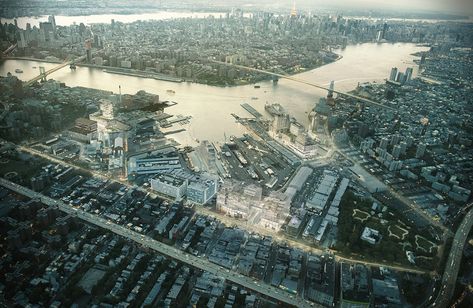 Author and professor Sharon Zukin looks at the history and the origins of the urban tech landscape, and how it has manifested in New York and elsewhere. Brooklyn Navy Yard, Roosevelt Island, Urban Industrial, Long Island City, Master Plan, Urban Planning, 1 Million, The Expanse, Paris Skyline