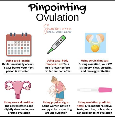 Ovulation Tracking, Getting Pregnant Tips, Natural Family Planning, How To Conceive, Cervical Mucus, Womb Healing, Pregnancy Info, Fertility Health, Health Guru