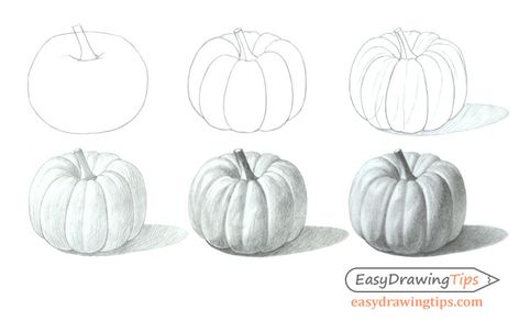 How to Draw a Realistic Pumpkin Step by Step Tutorial - EasyDrawingTips Pumpkin Pencil Drawing, With Pencil Drawing, Pumpkin Sketch, Still Life Sketch, Fruit Sketch, Intro To Art, Classe D'art, Cute Ladybug, Pumpkin Drawing