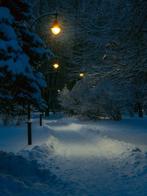 A snowy path with a street light in the distance photo – Free Nostalgic Image on Unsplash Snowy Street Night, Gloomy Christmas, 12am Thoughts, Vip Card Design, Aesthetic Settings, Snowy Path, Snowy Street, Night To Shine, Night Road