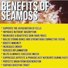 Sea Moss has changed my life! Bladderwrack Benefits, Irish Moss Recipes, Seamoss Benefits, Irish Sea Moss, Sea Moss Gel, Total Life Changes, Irish Moss, Super Food, Irish Sea