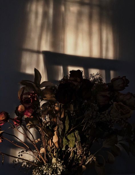 Florist Aesthetic Dark, Wilted Rose Aesthetic, Dead Roses Aesthetic, Dead Flowers Aesthetic, Roses Dark Academia, Flowers Dark Academia, Dried Flowers Aesthetic, Dark Academia Flowers, Photography Shadows