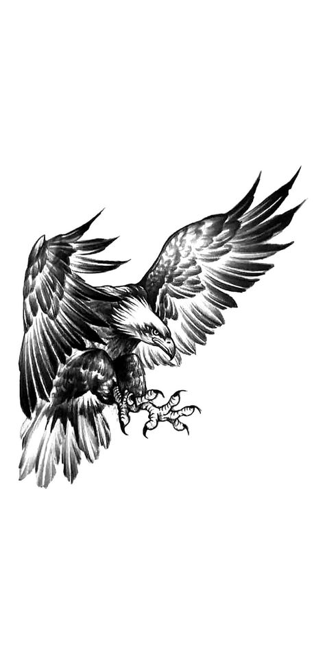 Fierce Eagle Tattoo, Blad Eagle Tattoo, Black And White Eagle Tattoo, Eagles Tattoo Design, Eagle Catching Fish Tattoo, Flying Eagle Tattoo Design, Harpy Eagle Tattoo Design, Eagal Tattoos, Back Tattoo Eagle