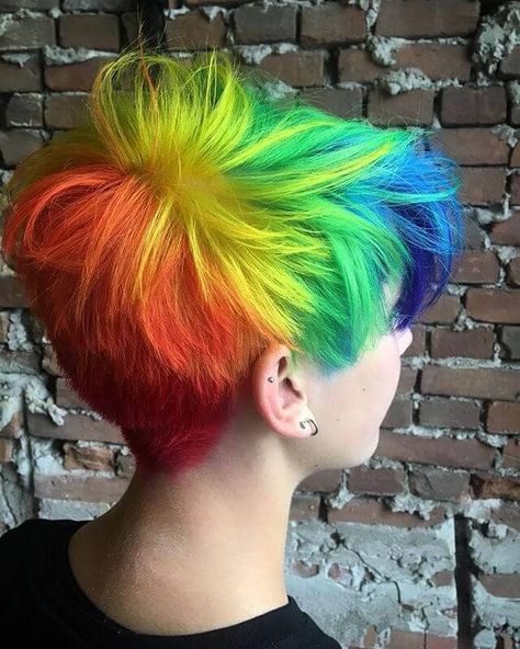 Hair Dye Short Hair, Dye Short Hair, Rainbow Hair Dye, Nb Flag, Short Rainbow Hair, Hair Color Styles, Digital Ideas, Vivid Hair Color, Rainbow Hair Color