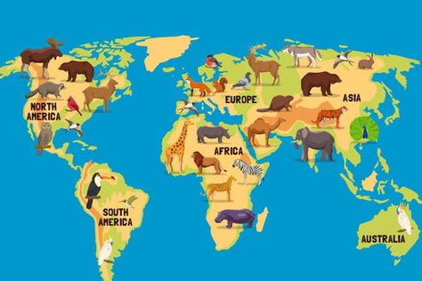 Comptine Comptine des six continents Map Of World, Wanderlust Decor, Pale Orange, Brown And Blue, Wildlife Animals, Kitchen Countertop, Birthday Celebrations, Fruits Vegetables, South American