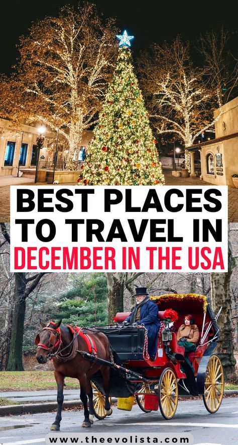 Winter Travel Ideas, December Vacations In The Us, Places To Go For Christmas, Winter Birthday Trip Ideas, Christmas Trips, Travel In December, December Vacation Ideas, Christmas Road Trip, Winter Vacation Ideas