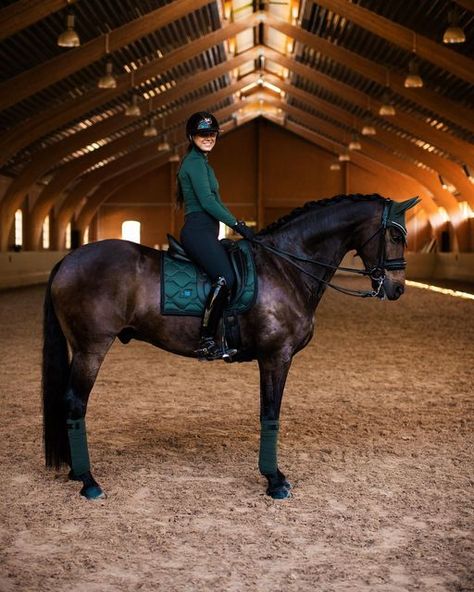 Dressage Tack, Horse Lifestyle, English Horse Tack, Equestrian Dressage, Horseback Riding Outfits, Horse Riding Outfit, Equestrian Aesthetic, Riding Clothes, Horse Riding Clothes