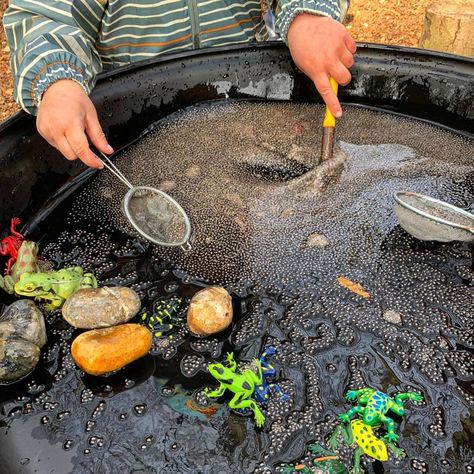 Tadpole Activities Preschool, Frog Life Cycle Eyfs Activities, Frog Provocation, Frog Tuff Tray Ideas, Frog Tuff Tray, Insect Sensory Play, Frog Sensory Play, Messy Play Eyfs, Small World Tuff Tray