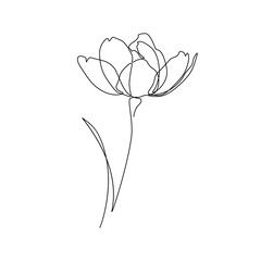 Free Vector | Set of botanical leaf doodle wildflower line art Continuous Line Tattoo, One Line Tattoo, Tattoo Line, Doodle Art Flowers, Line Art Drawing, Bff Tattoos, Line Sketch, One Line Art, Watercolor Paintings For Beginners