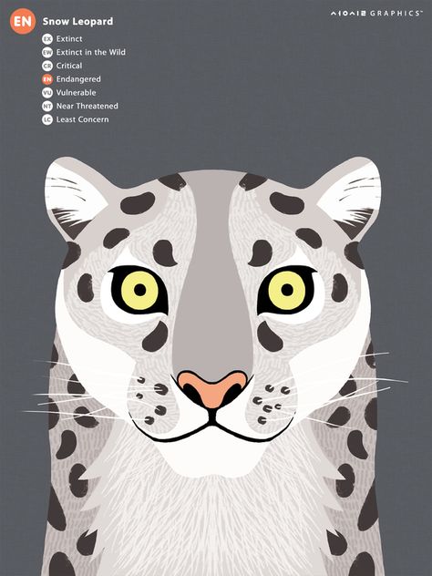 Zoo Signage, Charley Harper Art, Big Cats Art, Animal Graphic, Endangered Animals, Animal Heads, Snow Leopard, 귀여운 동물, Animal Illustration