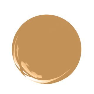 Butterscotch Sherwin Williams, Amber Paint Color, Terra Cotta Paint Color, 2025 Color Trends, Rust Color Paint, Historic Paint Colours, Caramel Mocha, Trending Paint Colors, Interior Design Advice