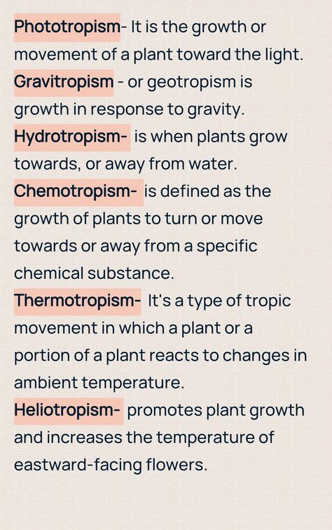 Botany Botany Study Tips, Botany Lessons High School, Botany For Beginners, Botany Journal Ideas, Botany Student Aesthetic, Plant Psychology, Medicinal Botany, Botanist Aesthetic, Biology Basics