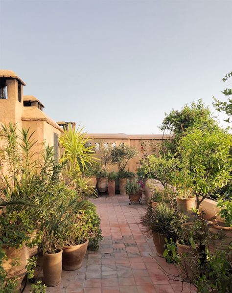 My Secret Marrakech Riad (With an Epic Roof Terrace!) • Ellie & Co travel blog Moroccan Terrace, Mediterranean Terrace, Morocco Decor, Marrakech Riad, Moroccan Houses, Sky Lounge, Riad Marrakech, Terrace Decor, Our Secret