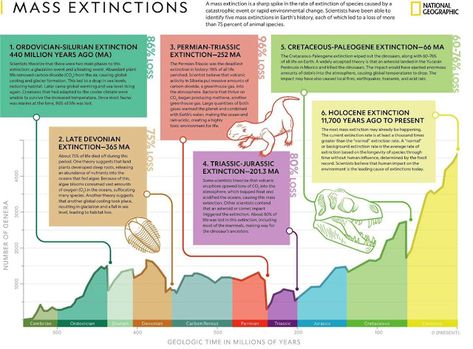 Geologic Time Scale, Species Extinction, Mass Extinction, Physical Geography, Environmental Change, Earth Atmosphere, Promotional Image, Life On Earth, Animal Species