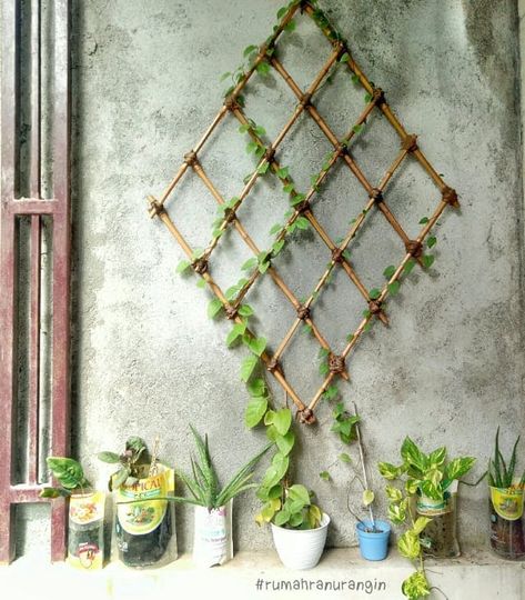 27 Gorgeous and Fresh DIY Trellis Ideas Diy Trellis Ideas, Houseplant Trellis, Indoor Plant Trellis, Indoor Vines, Diy Bamboo, Wire Trellis, Indoor Trellis, Bamboo Diy, Vine Trellis