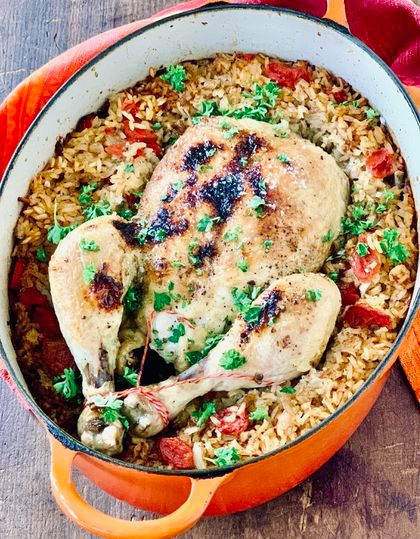 Chicken And Rice Recipe, Chicken Fricassee, Chicken And Rice Dishes, Meals For Four, Rice Dish, Jewish Recipes, Joy Of Cooking, Chicken And Rice, Zebra Stripes