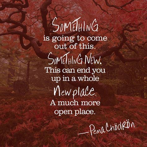 Pema Chodron Quotes, Martha Beck, Pema Chödrön, Transformation Quotes, Caroline Myss, Pema Chodron, David Byrne, Peace Quotes, Strong Quotes