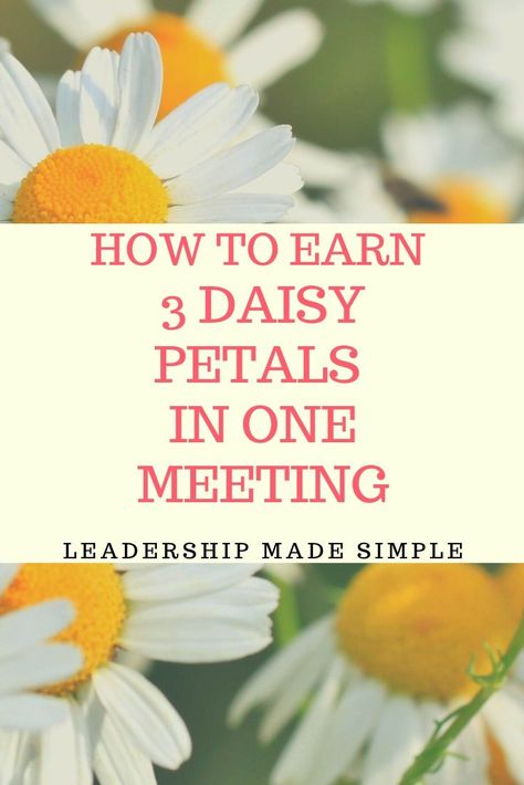 Earn Daisy Petals Activities, Daisy Petals In A Day, Daisy Girl Scouts First Meeting, Daisy Petals Girl Scouts Activities, Girl Scout Meeting Activities, Friendly And Helpful Daisy Petal Ideas, Girl Scout Daisy Petals Activities, Daisy Petals Activities, Girl Scout Daisy Petals