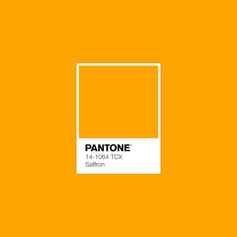 #Pantone Saffron #luxurydotcom Saffron Orange, Yellow Pantone, Pantone Swatches, Pantone 2020, Pantone Palette, Color Pantone, Pantone Colour Palettes, Color Harmony, Color Inspo