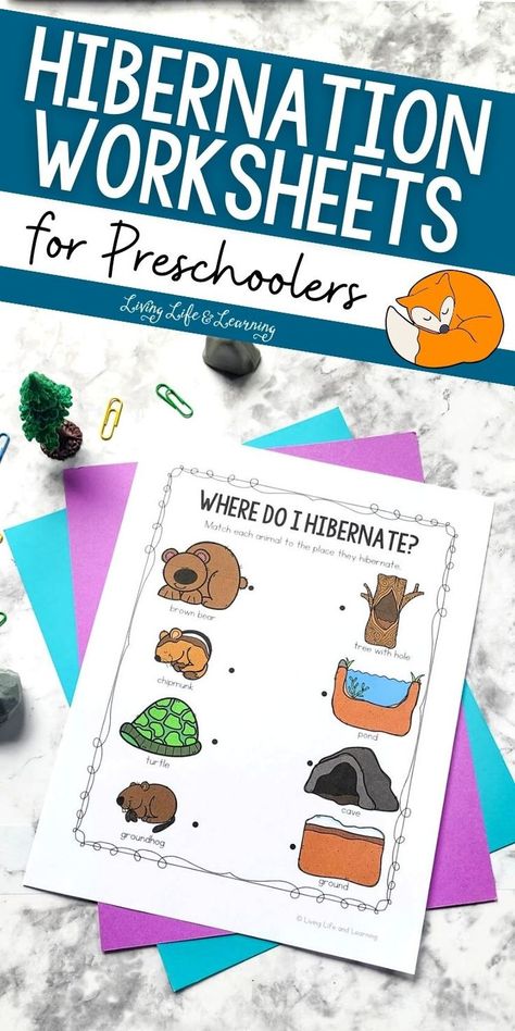 Hibernation Worksheets for Preschoolers Hibernation Migration Preschool, January Homeschool Theme, Winter Animal Science Activities, Hibernation Steam Activities, Winter Animals Hibernation Preschool, Hibernation Lesson Plan Preschool, Winter Social Studies Preschool, Hibernation Animals Preschool, Animals In The Winter Preschool