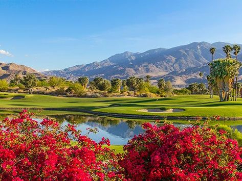 Sunset Limited Train | Amtrak Palm Springs Golf, Golf Trips, Fabulous Homes, Spring Break Destinations, Affordable Vacations, Best Weekend Getaways, Palm Springs California, Coachella Valley, Beach Lover