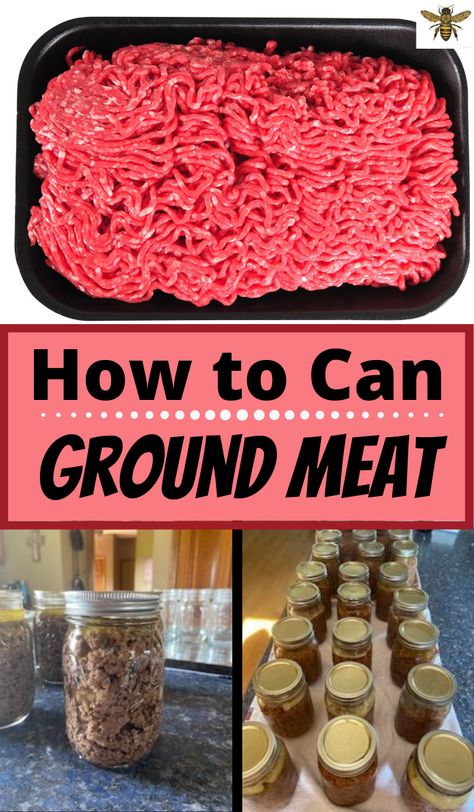 How To Pressure Can Ground Beef, How Long Does Canned Meat Last, How To Can Ground Beef, Canning Ground Sausage, How To Can Meat Pressure Canning, Pressure Canning Ground Beef, Can Meat Recipes, How To Can Meat, Meals To Can