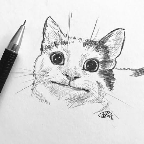 Cat Sketch Aesthetic, Cat Sketch Tutorial, Cat Sketch Realistic, Cat Face Sketch, Cat Sketching, Sketch Book Ideas Aesthetic, Sketch Realistic, Cool Sketch Ideas, Sketch Cat