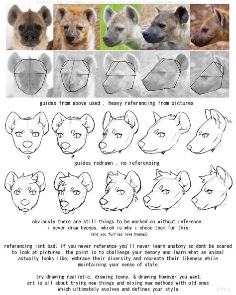 Hyena Reference Drawing, How To Draw Hyena, Hyena Fursona Base, Hyenas Drawing, Hyena Anatomy, Anthro Hyena, Hyena Sketch, Hyena Reference, Hyena Fursona