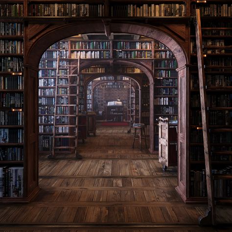 Gothic Farmhouse, Gothic Library, Person Model, Old School Aesthetic, Model Architecture, Dream Library, Library Aesthetic, Dark Academia Aesthetic, Academia Aesthetic