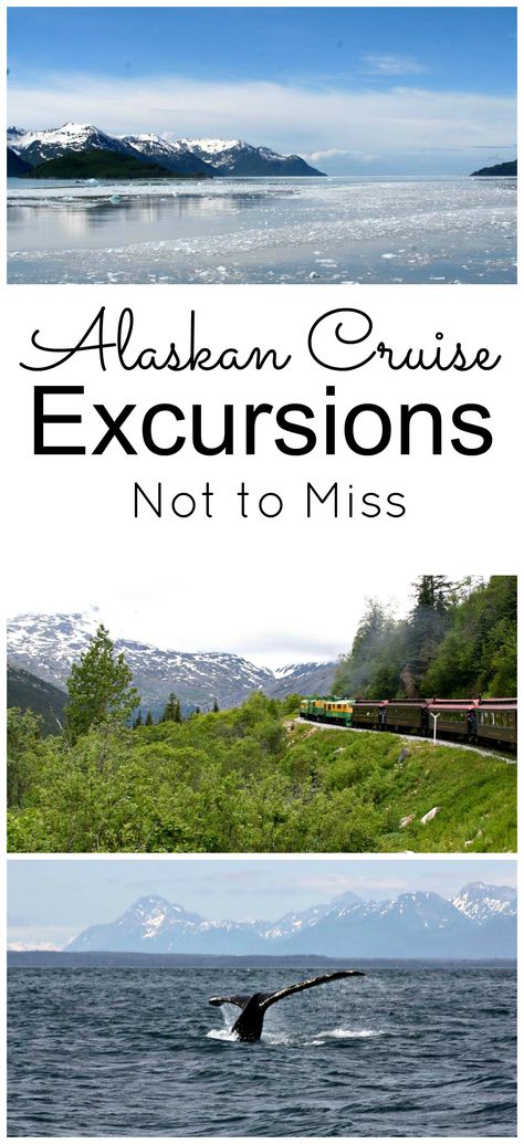 Alaskan Cruise Excursions, Alaska Cruise Excursions, Alaska Travel Cruise, Alaskan Cruise Outfits, Alaska Cruise Tips, Singles Cruise, Alaska Vacation, Cruise Excursions, Cruise Liner