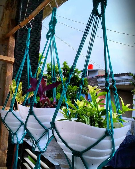 Bahan-bahan:galon bekas,tali kur,cat spray Pot Gantung, School Yard, Tree Trunks, Macrame Plant, Macrame Plant Hanger, Plant Hanger, Yard, Plants, Home Decor