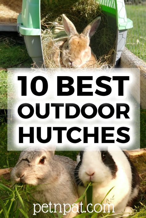 10 Best Outdoor Rabbit Hutches To Keep Your Bunny Safe #bunny #rabbit #rabbithutch #hutch #animals #pets Wild Bunny House Outdoor, Outdoor Bunny Hutch, Diy Bunny Hutch, Bunny Hutches, Large Hutch, Rabbit Cages Outdoor, Diy Hutch, Diy Bunny Cage, Rabbit Hutch And Run