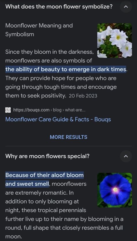 Moonflower Meaning, Moonflower Drawing, Sweet Smell, Moon Flower, Tough Times, Pretty Things, Perennials, Encouragement, Meant To Be