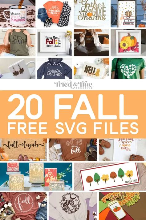 Fall Svg Files, Fall Cricut, Screen Cards, Make Business Cards, Free Cricut, Cricut Tips, Divider Screen, Gift Post, Free Falling